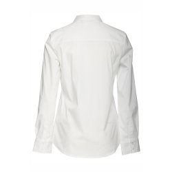 FRZASHIRT 1 SHIRT